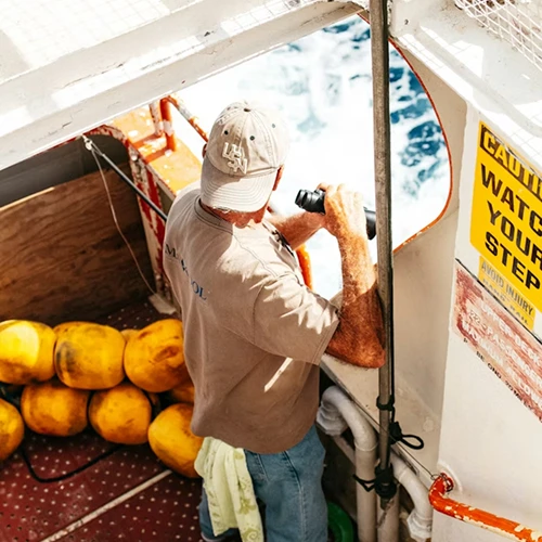 Binocular-insta-10_converted